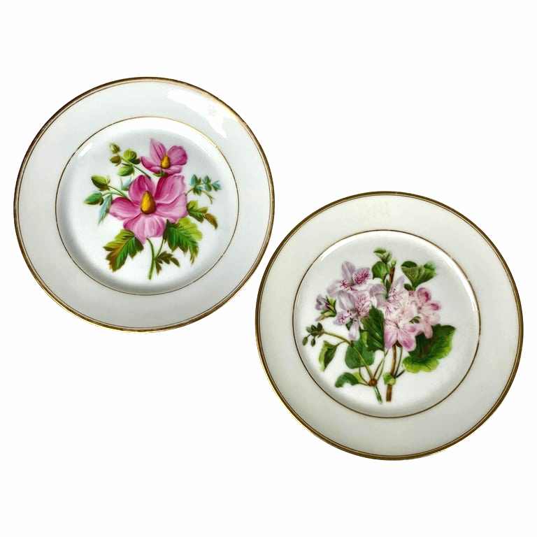 Pair Antique Paris Porcelain Botanical Dishes Hand Painted Flowers